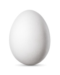 One chicken egg isolated on white background.