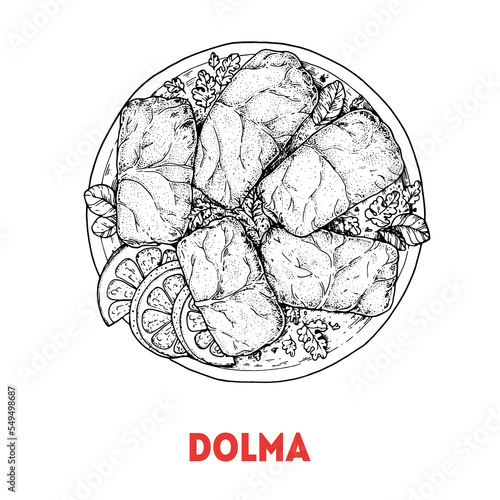 Dolma sketch, Turkish food. Hand drawn vector illustration. Turkish street food. Sketch style. Top view. Vintage vector illustration. photo