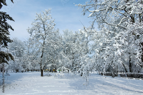 Winter view of South Park in city of Sofia, Bulgaria