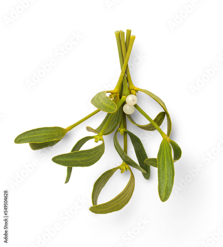 Fényképezés bunch of mistletoe twigs with white berries hanging from a wall, traditional Chr