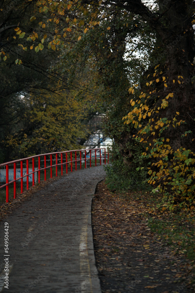walking path, red fence, yellow and green leaves in autumn