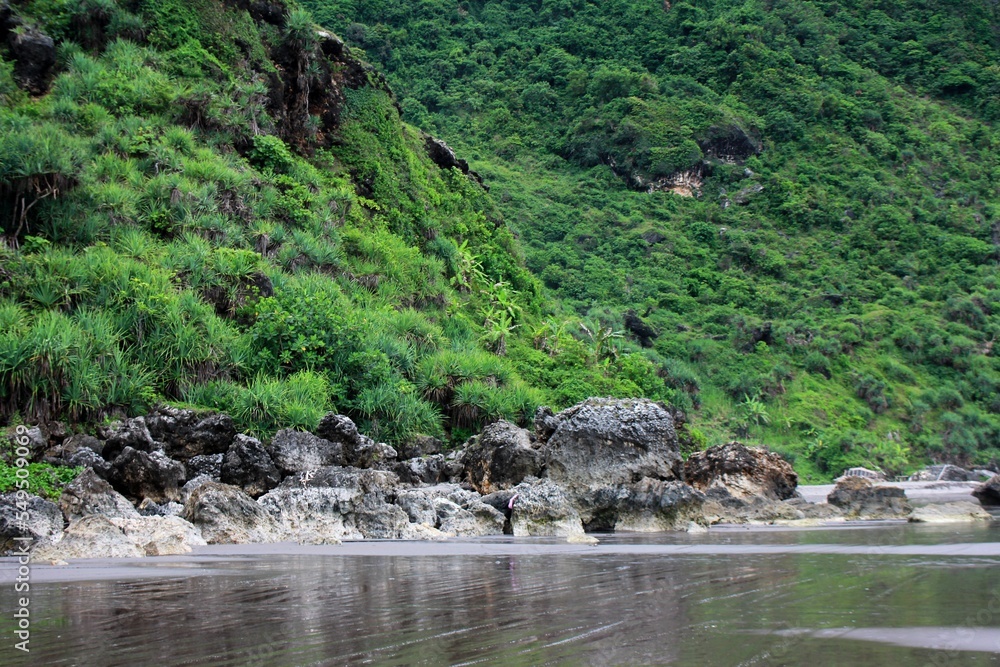Beach with Green Coral Cliffs