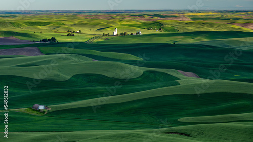 Classic view of the rolling hills of the Palouse