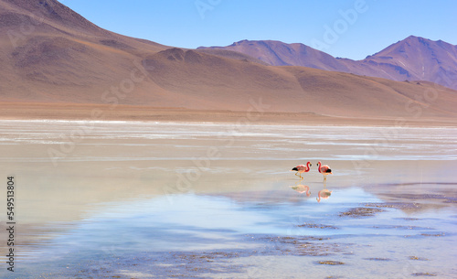 Laguna Blanca, Uyuni, Bolívia