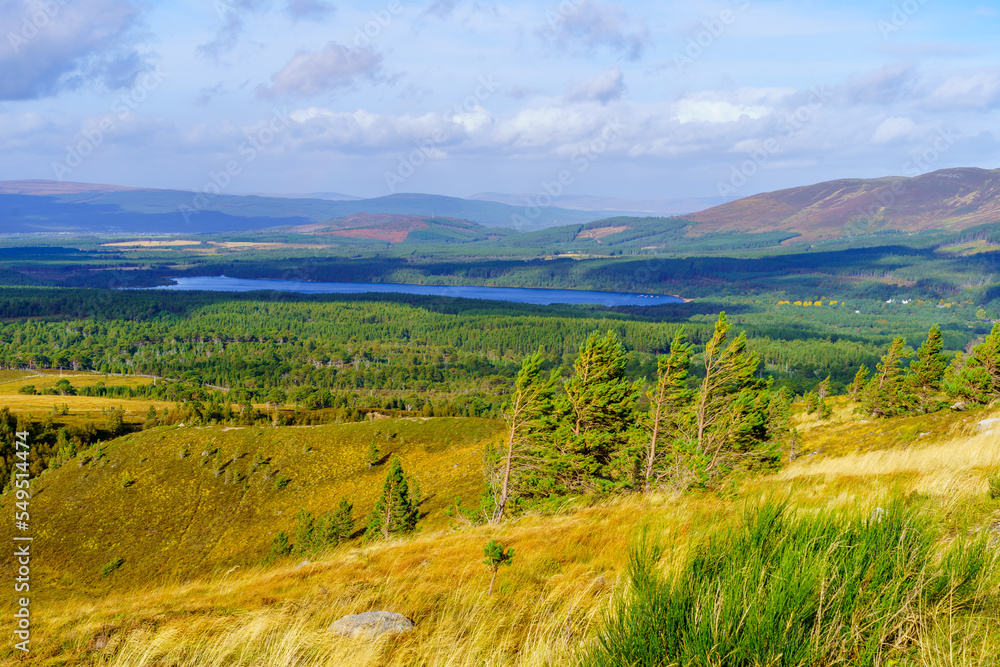 Forest and lakes landscape of Cairngorms National Park