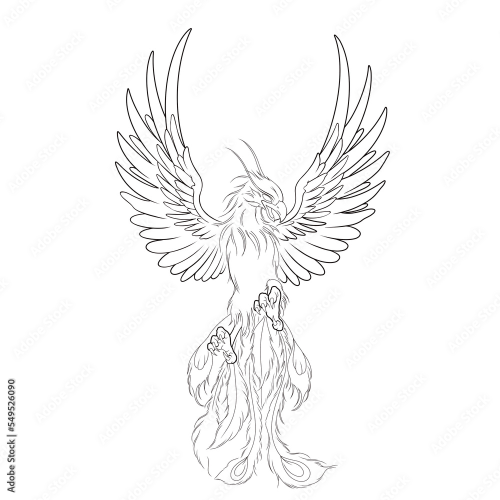 illustration of a bird Phoenix tattoo Illustration Stock Adobe Stock