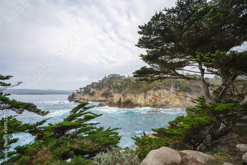Point Lobos State Natural Reserve. Rocky beach, cypress forest, and Pacific Ocean, California