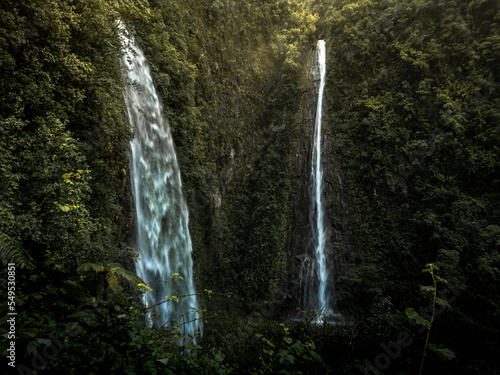 Tablou canvas Waterfall next to Grand Etang, La Réunion