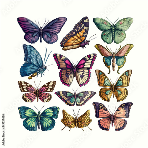 Cartoon butterflies set. Flying insects, delicate moths species with multicolored wings collection. Flying colorful insects, spring butterfly moth insect on isolated background. Vector illustration