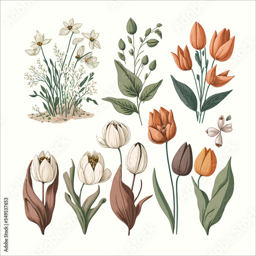 Blooming meadow plants. Retro botanical set with spring floral plants, blooms with leaf. Birth month flowers for wall art, mockup, logo design. Vector illustration