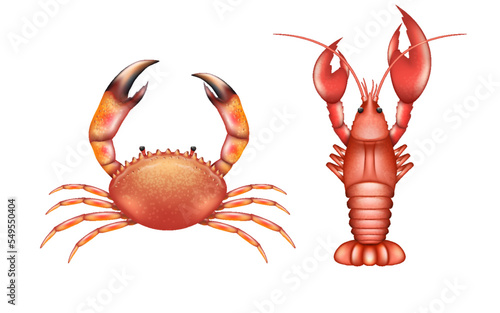 Sea crab and lobster realistic icons. Cooked red seafood ingredients for luxury restaurant menu