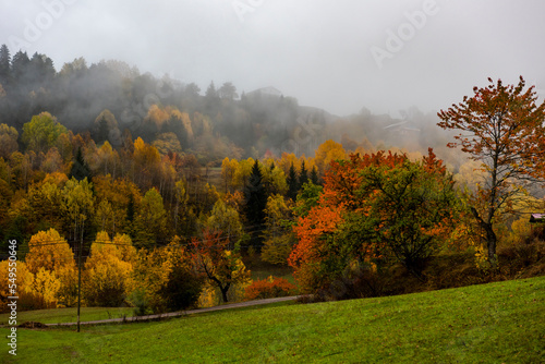 Autumn view in Savsat. Artvin, Turkey. Beautiful autumn landscape with colorful trees.