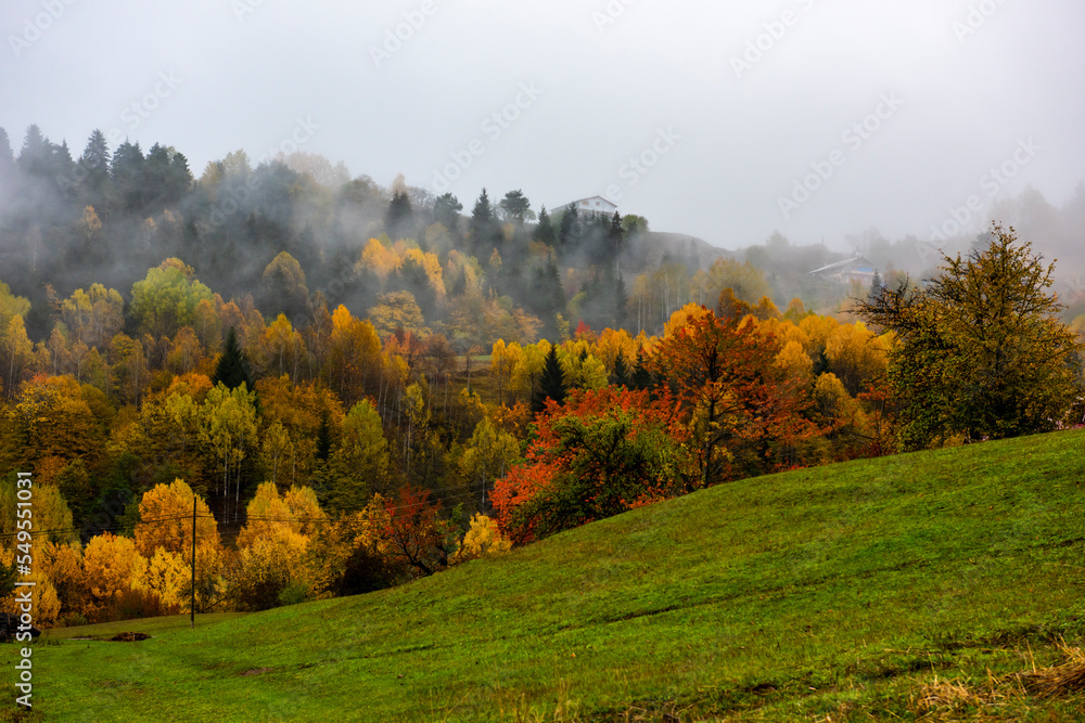 Autumn view in Savsat. Artvin, Turkey. Beautiful autumn landscape with colorful trees.