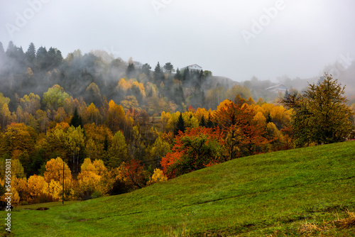 Fototapeta Naklejka Na Ścianę i Meble -  Autumn view in Savsat. Artvin, Turkey. Beautiful autumn landscape with colorful trees.