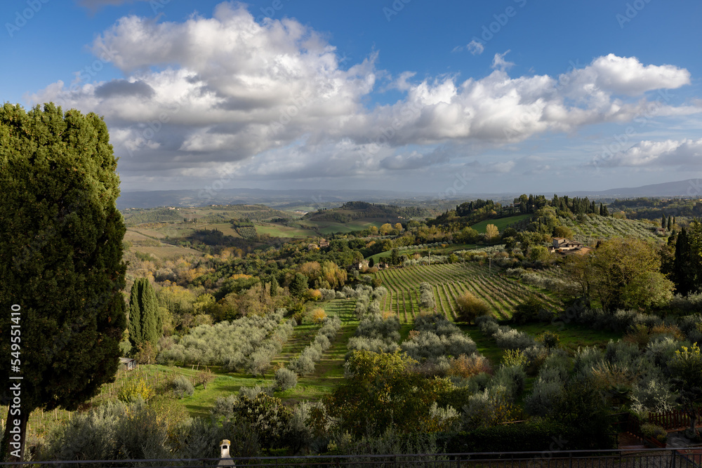 Tuscan Panorama