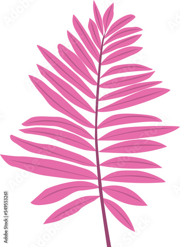 Handdrawn Pink Tropical Exotic Leaf, Chamaedorea Elegans, Parlour Palm photo