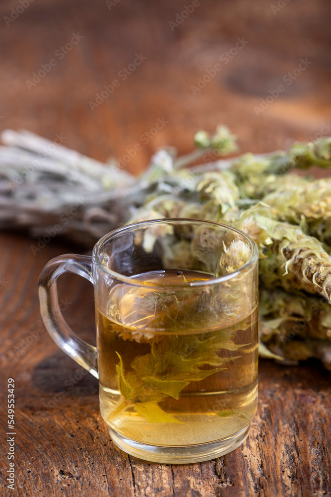 Fototapeta premium sideritis tea
