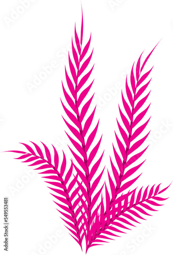 Handdrawn Magenta Tropical Exotic Leaf, Fern Plant photo