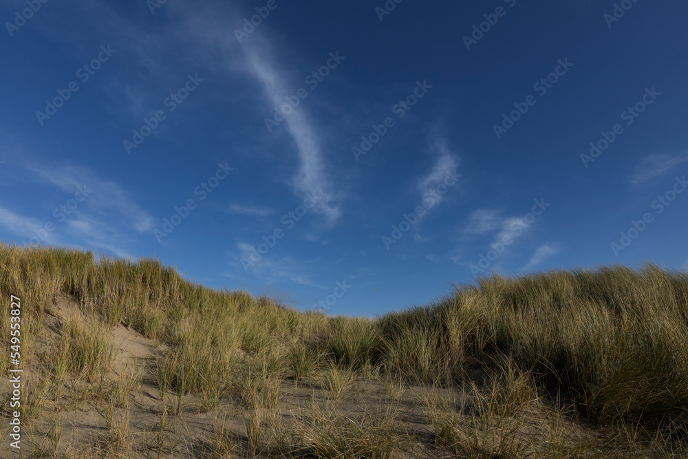 island of texel, netherlands, waddenzee, unesco world heritage, de Koog, dunes, 