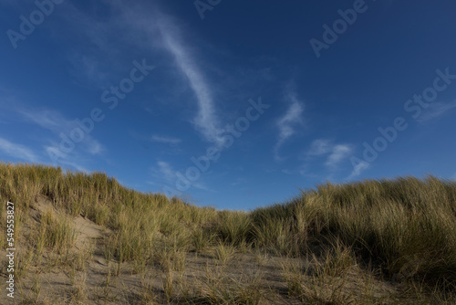 island of texel  netherlands  waddenzee  unesco world heritage  de Koog  dunes  