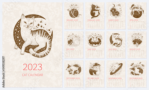 Calendar 2023. Cat chinese Zodiac design. Cute pet 2023 vintage animal template. Creative psychedelic vector. Month horoscope. Funny magic cartoon. Trendy new year astrology calendar. Sketch space cat
