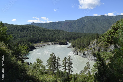 Landscape with mountain river and surrounding forest.