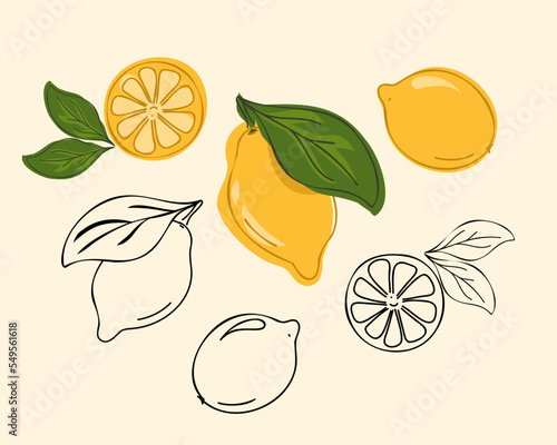 Set whole fresh lemon and slice. Vector illustration