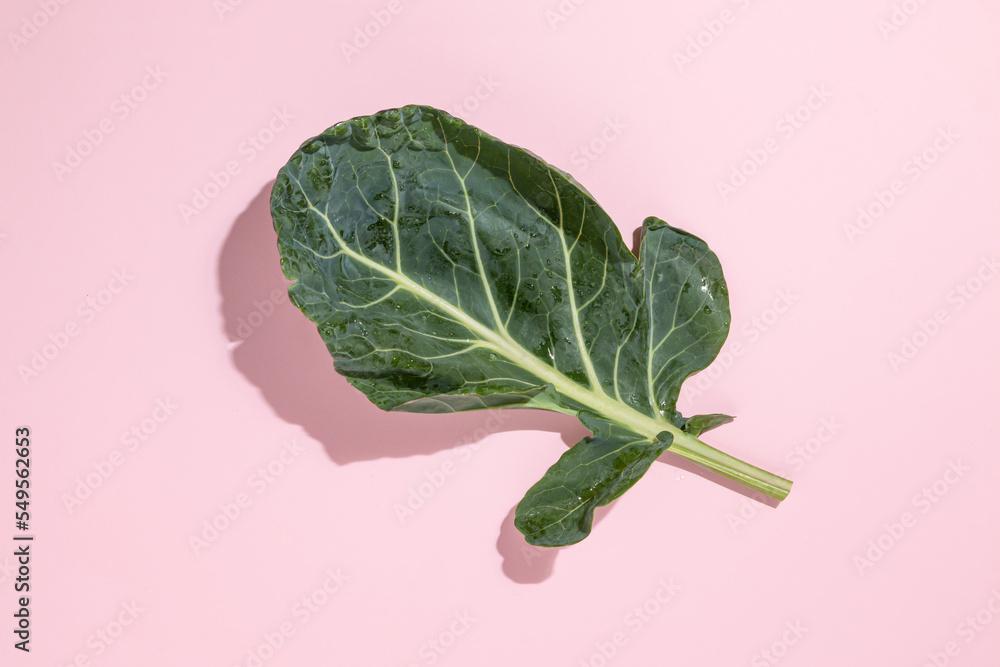 Collard greens leaf on pastel pink background. Winter vegetable for