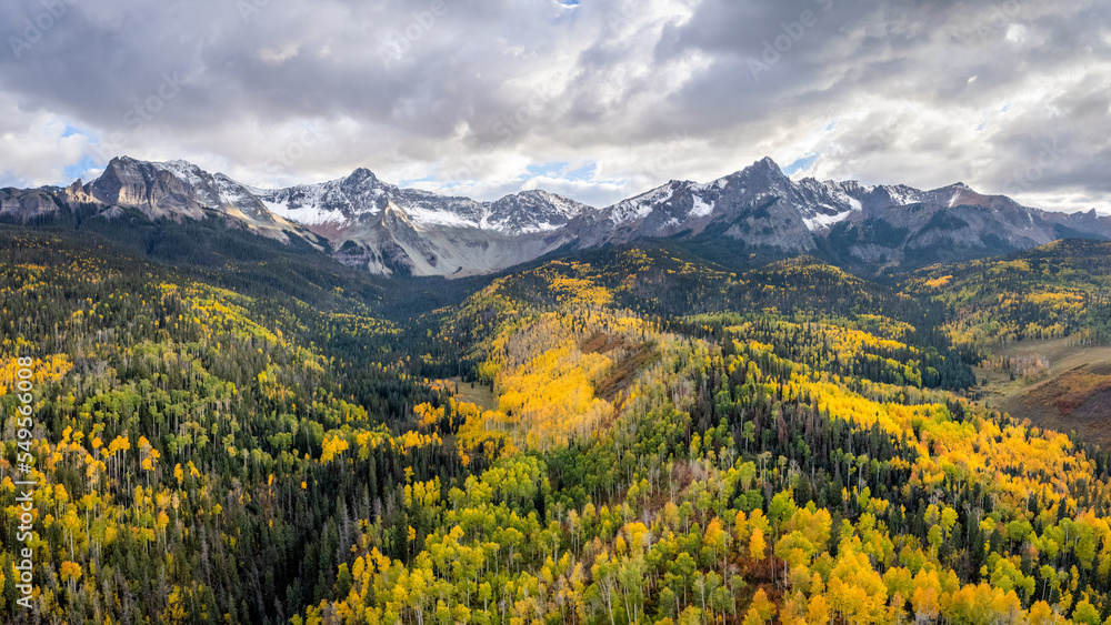 Fototapeta premium Rocky Mountains - Autumn golden aspen foliage near Ridgway Colorado - County Road 9 - on the RR Ralph Lauren ranch 