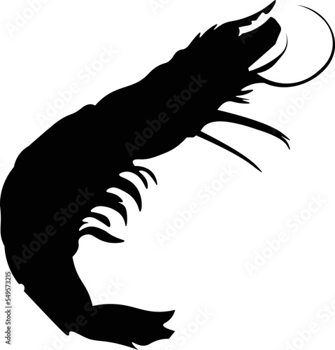 Black and White Cartoon Illustration Outline Silhouette Vector of a Prawn Shrimp