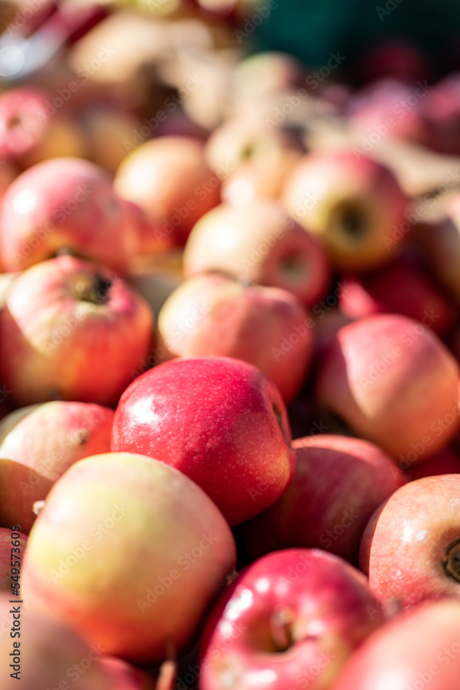 Close-up Photograph of Apples for Sale