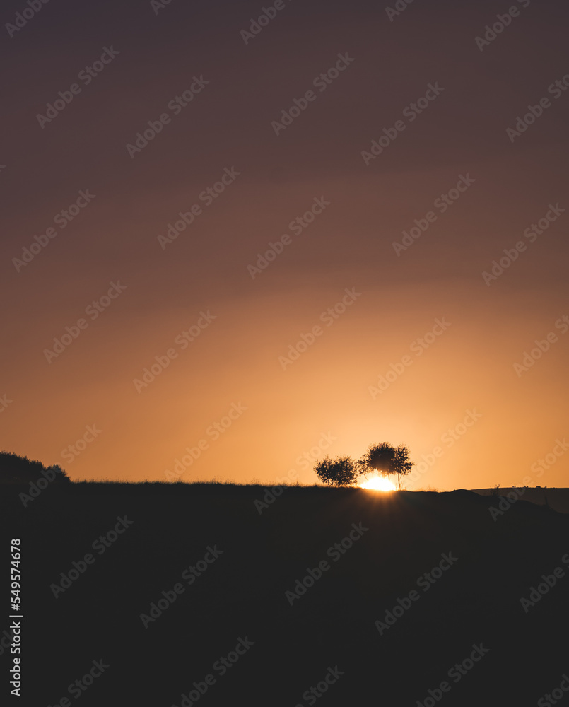 The sun disc sets behind a grassy hill with young trees, an atmospheric sunset for the background