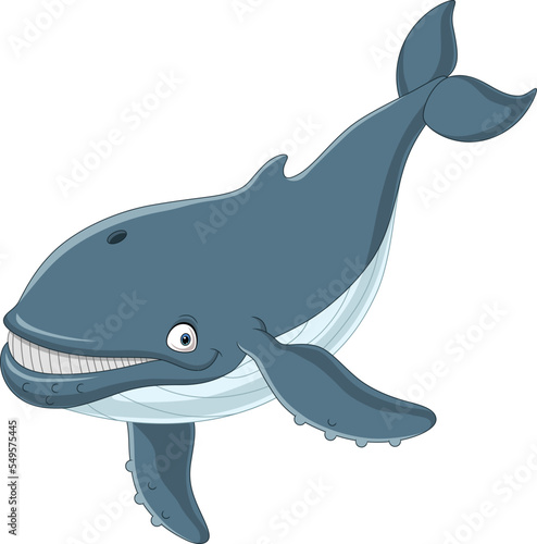Cartoon whale isolated on white background
