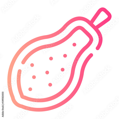 papaya gradient icon