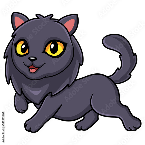 Cute highland fold cat cartoon