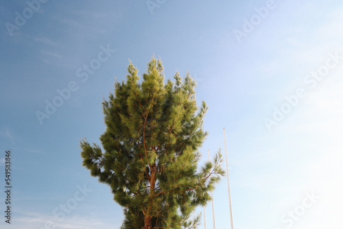 Lisboa Natureza e Rio tejo