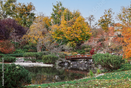 View of autumn park with tr...