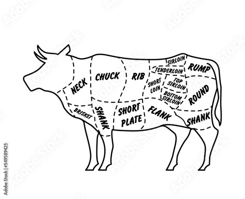 Butcher's guide: Cuts of beef scheme. Illustration of bull on white background