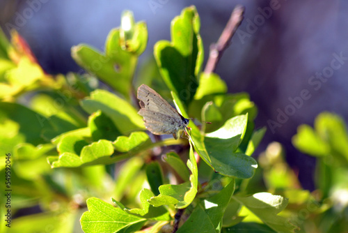 domaine de Certes photo