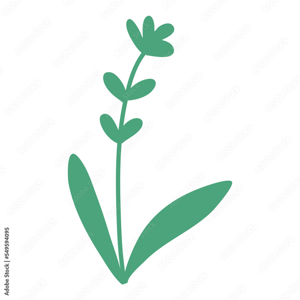 Fototapeta premium Garden grass with cute flowers