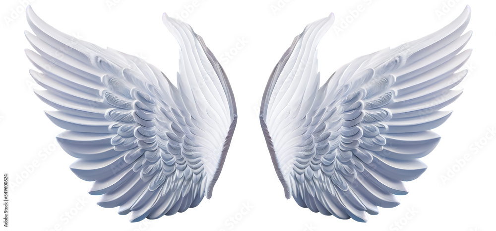White angel wing isolated on a transparent background for design Stock ...