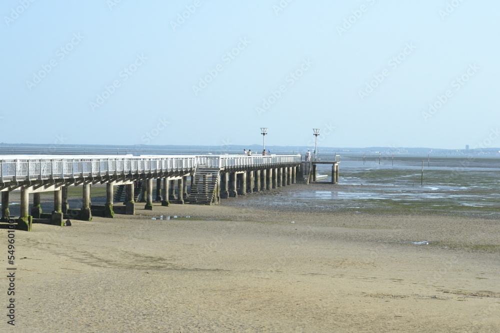 Naklejka premium Claouey