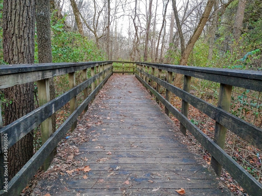 Wooden Boardwalk in Fading Autumn Forest