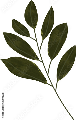 Watercolor leaf vector