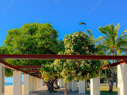 фотографія Ala moana beach park in Hawaii