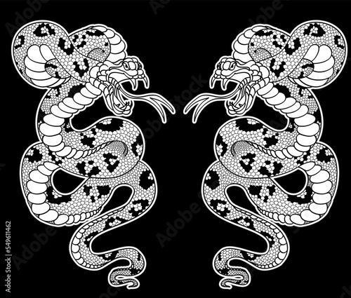 sticker snake tattoo style Cobra vector. snake cobra tattoo.Hand drawn Chinese snake. sticker snake cobra tattoo style Cobra vector. 