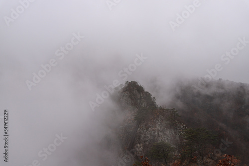 구봉산의 풍경