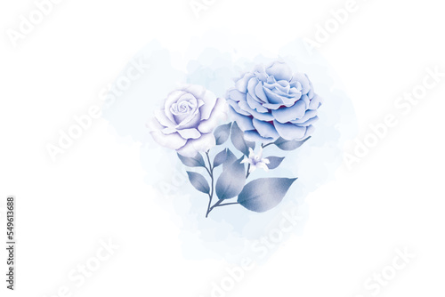 white rose on blue