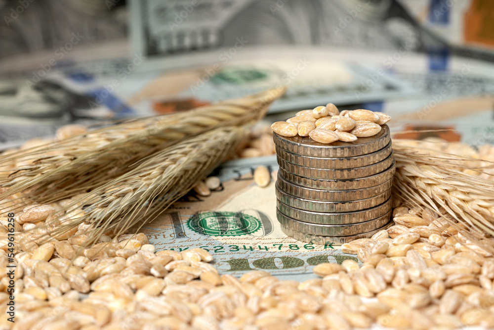 Grain of wheat with Ukrainian money scattered on the table. The concept of a fruitful year. Export and import of grain between countries