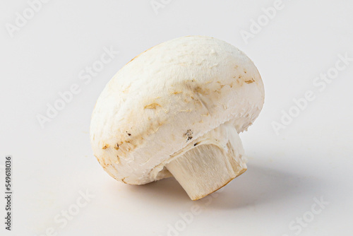 mushroom, toadstool, white mushroom, button mushroom isolated on white background